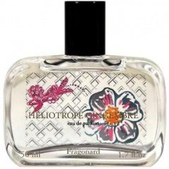 Héliotrope Gingembre